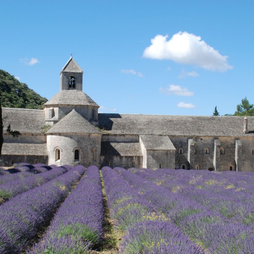 Provence, Luberon &amp; Lavendel Radtour