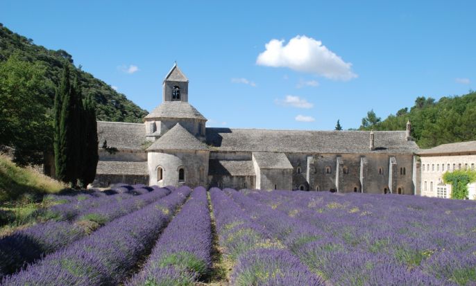 Provence, Luberon &amp; Lavender bike tour